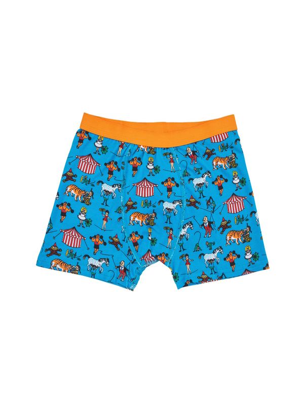 Pippi Långstrump Boxershorts för Barn - Blå