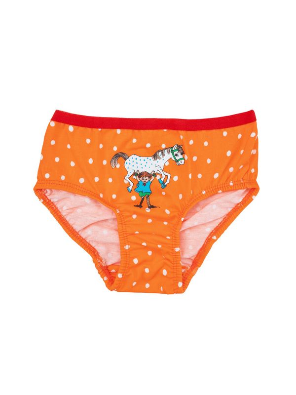 PIPPI AND FRIENDS BRIEFS 2