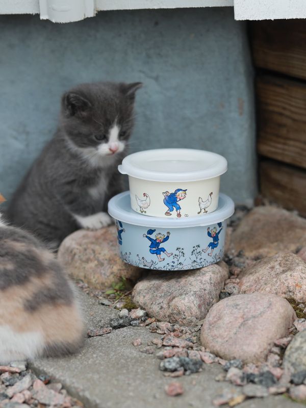 Storagebox Emil in Lönneberga - White/Blue