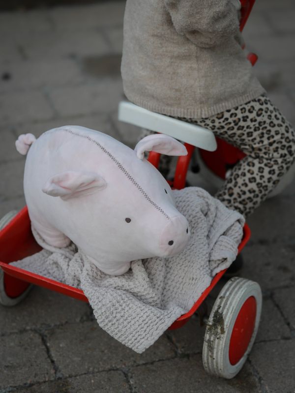 Mjukisdjur Bamsen (i plysch) - Lotta på Bråkmakargatan