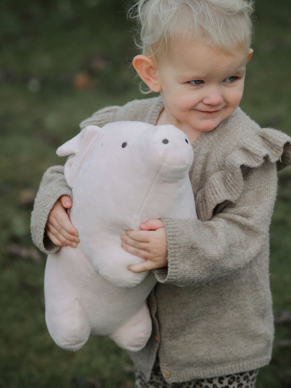 Mjukisdjur Bamsen (i plysch) - Lotta på Bråkmakargatan