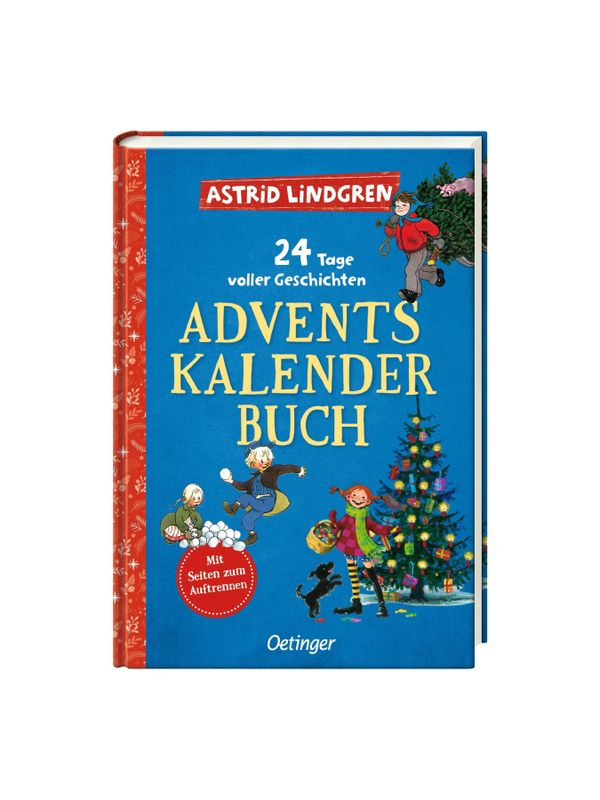 24 Tage voller Geschichten. Adventskalenderbuch(German)