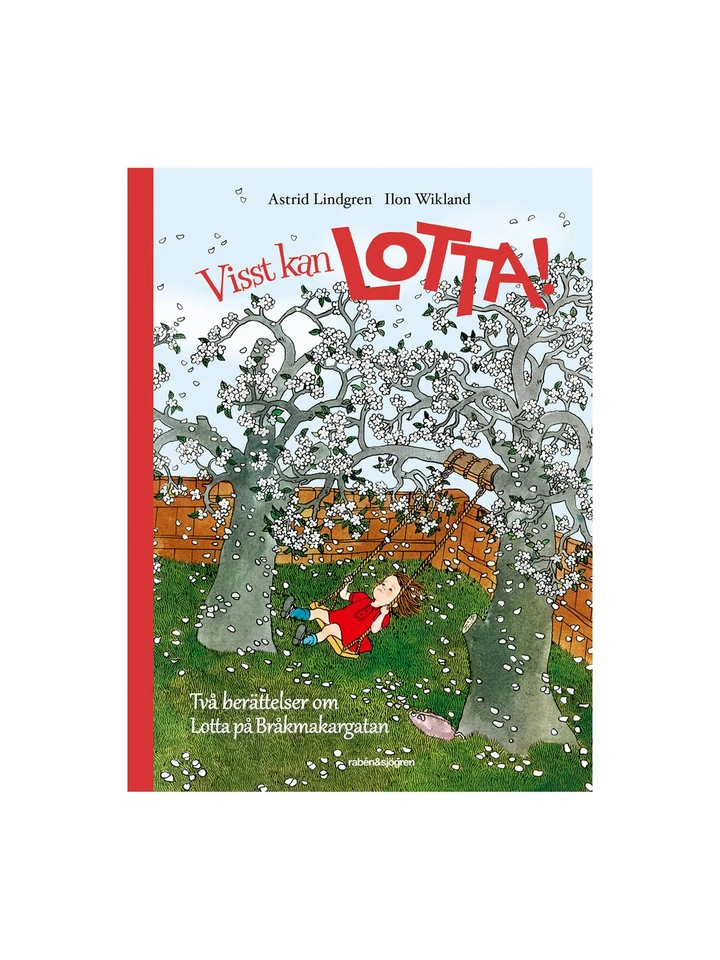 Picture book Lotta on Troublemaker Street