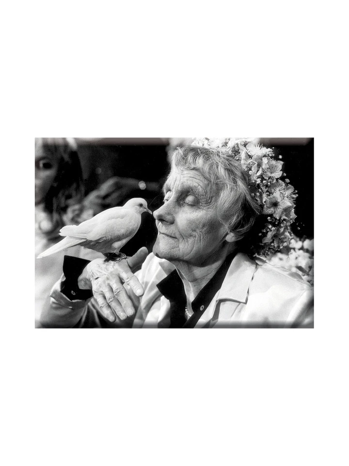 Magnet Astrid Lindgren med vit duva