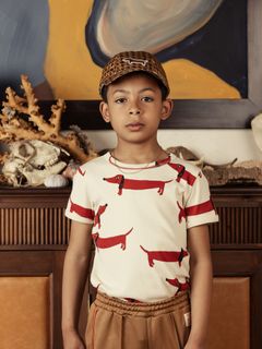 Dog T-shirt