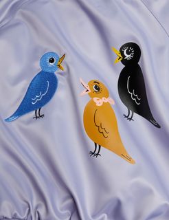 Birds baseball jacket