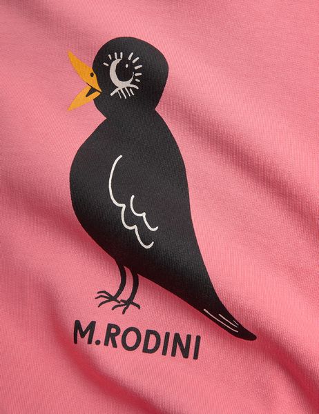 Blackbird sweatshirt