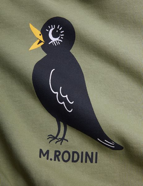 Blackbird sweatshirt