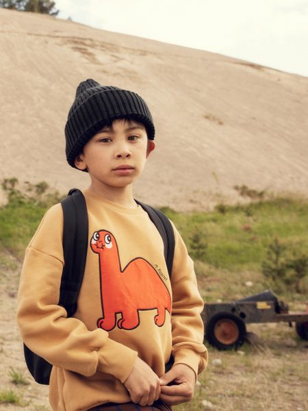 Dino application sweatshirt