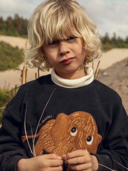 Mammoth chenille sweatshirt