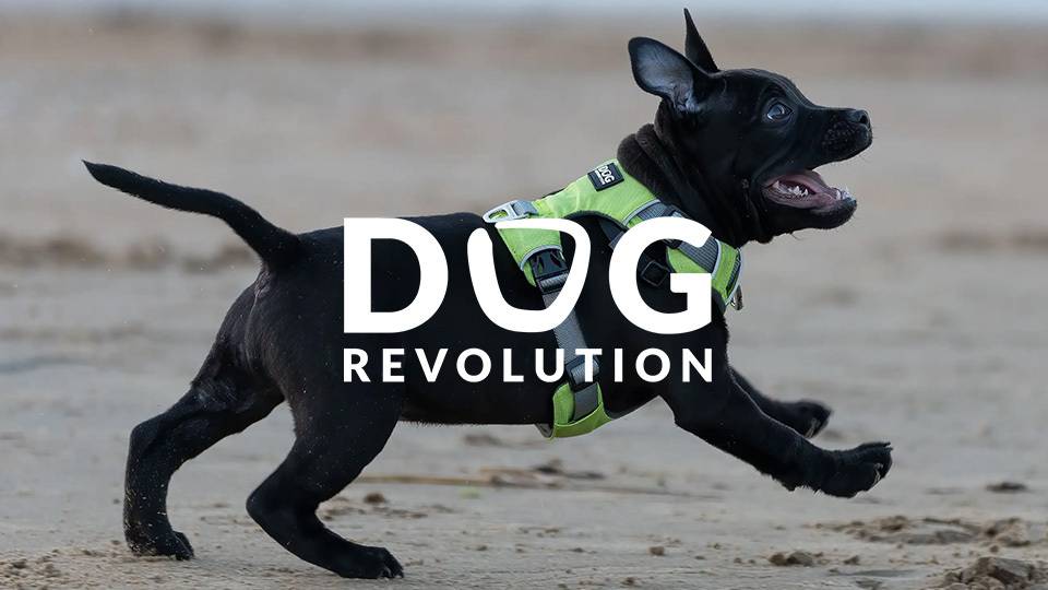 DOGRevolution