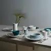Basic Skål