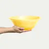 Basic Skål