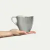 Basic Mugg
