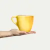 Basic Mugg