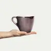 Basic Mugg