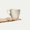 Basic Mugg