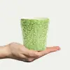 Lace Mugg