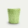 Lace Mugg