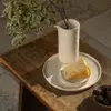 MSY Tallrik