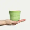 Basic Mugg
