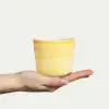 Basic Mugg