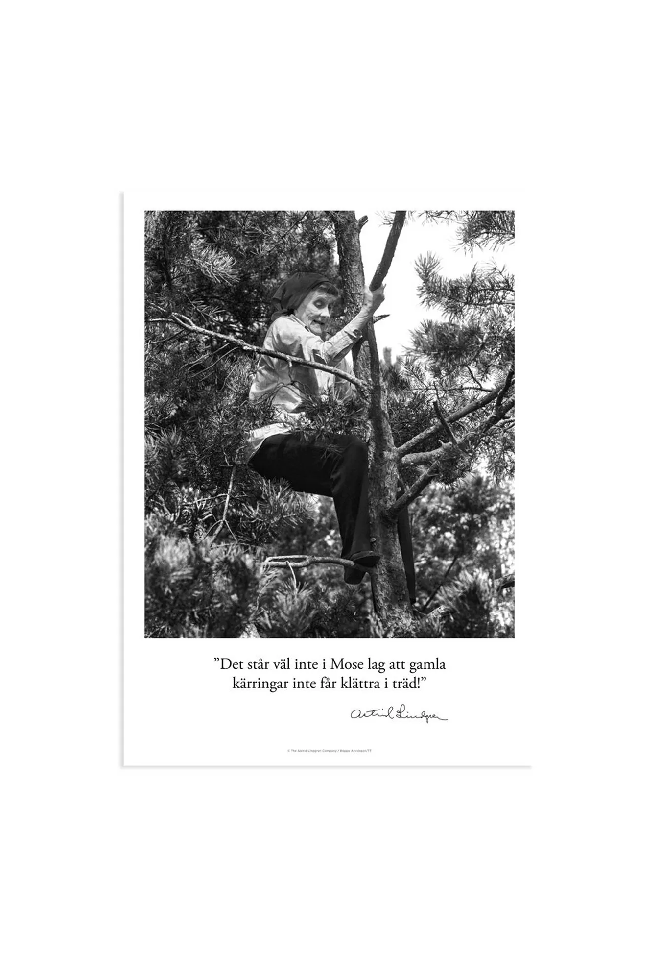 Poster Astrid Lindgren- Klättra i träd