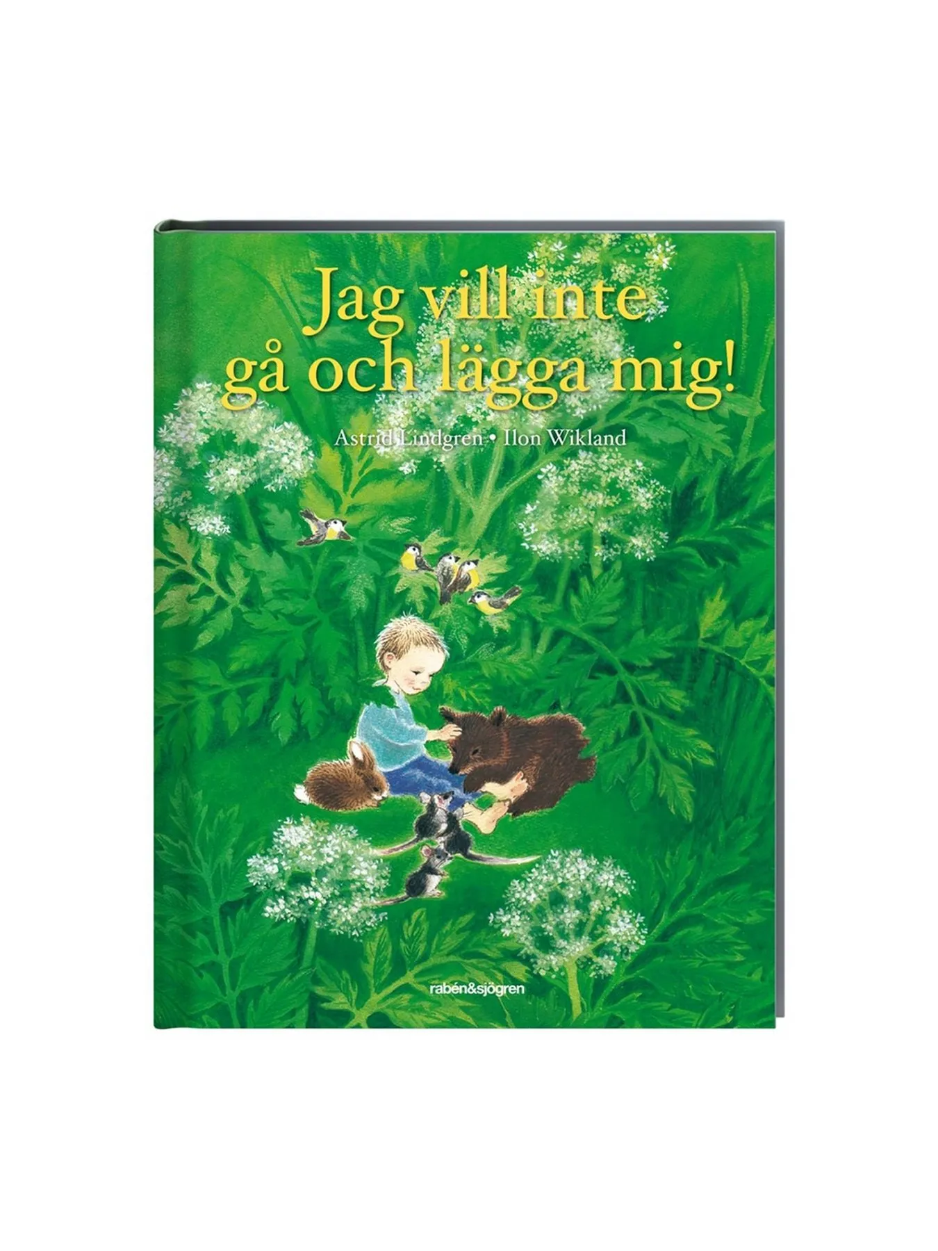 Book I don’t want to go to bed (in Swedish)